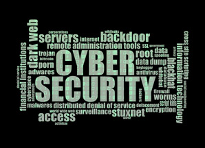 cyber security resume objective statement.